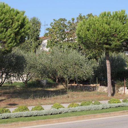 Apartments And Rooms With Parking Space Rovinj - 7170 Dış mekan fotoğraf
