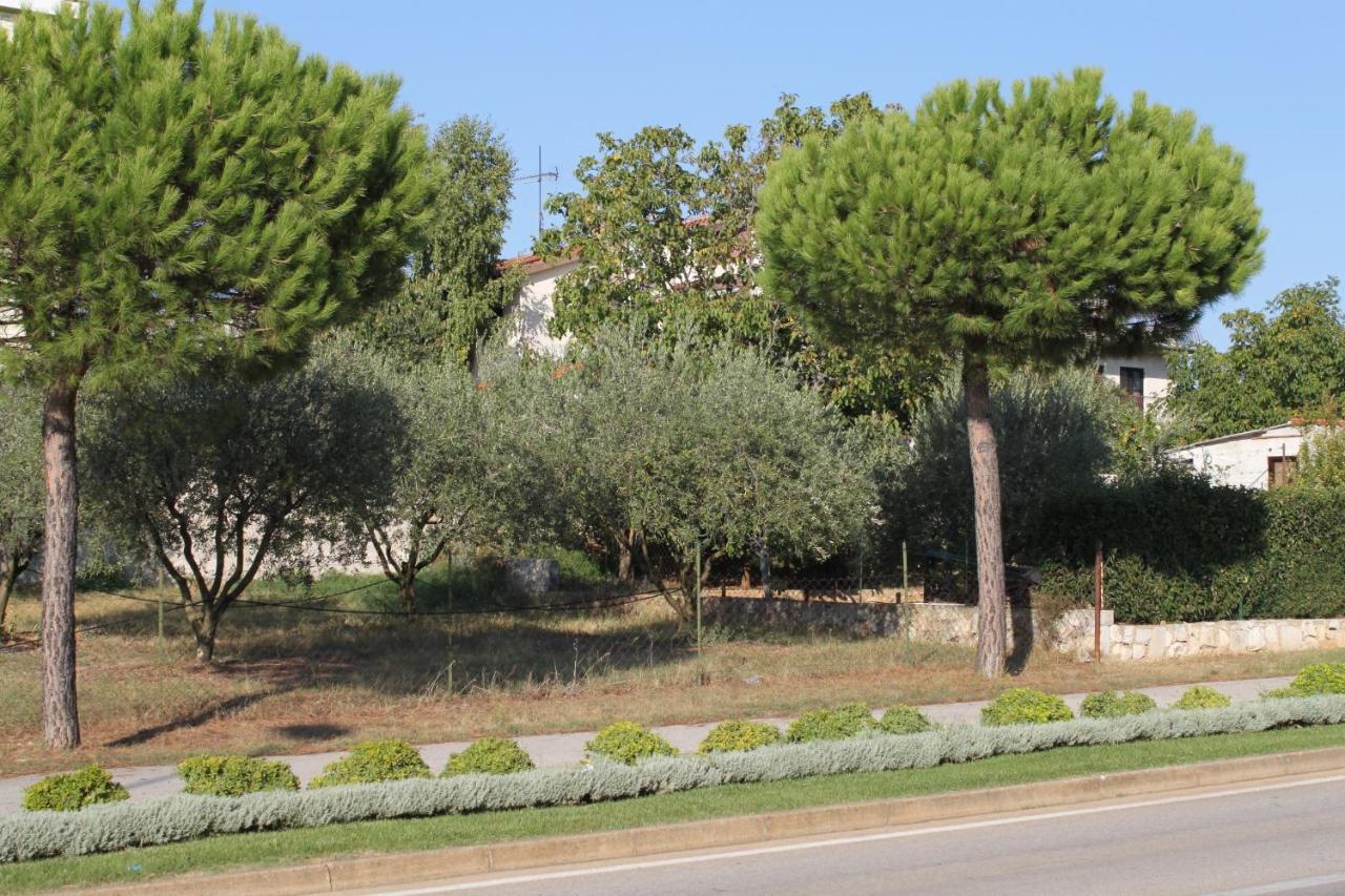 Apartments And Rooms With Parking Space Rovinj - 7170 Dış mekan fotoğraf