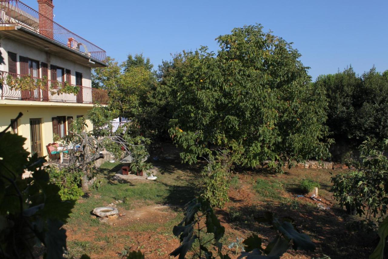 Apartments And Rooms With Parking Space Rovinj - 7170 Dış mekan fotoğraf